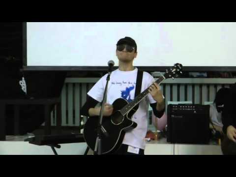 Przewalski's Ponies - Smile (how it all started in 2012)