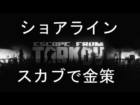 【EFT】【タルコフ】ショアライン　隠しスタッシュ14個ルート　シグナルの天球湧き→SVETLIY DEAD END脱出【Escape from Tarkov】