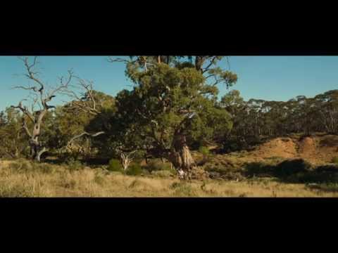 The Water Diviner clip - Dust Storm