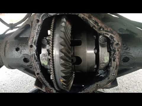Dana 80