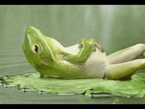 cam & soju - một chút thoy