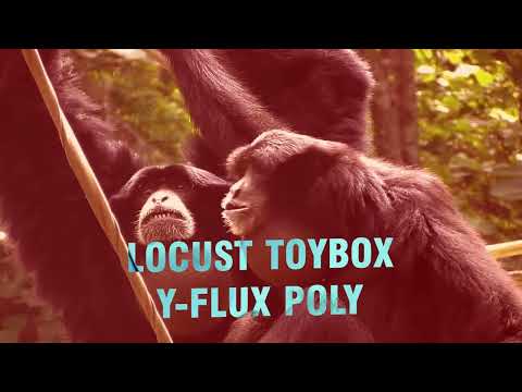 Locust Toybox - Y-Flux Poly