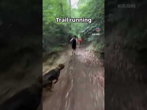 When the forest decides to add some ‘motivation’ to your run! 😅