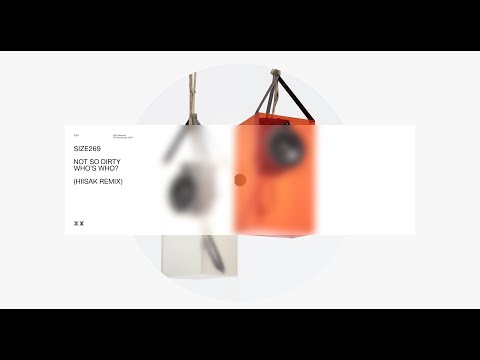 Who's Who? - Not So Dirty (HIISAK Remix) [Visualizer]