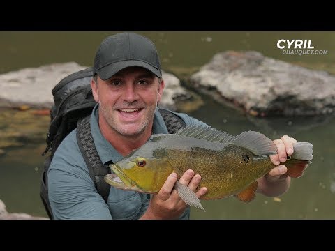 Fishing for AGRESSIVE PEACOCK BASS in the remote jungle! - Chasing Monsters
