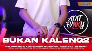 Download lagu Bukan Kaleng Kaleng - Nisa Fauzia (Adit Fvnky Rmx) mp3