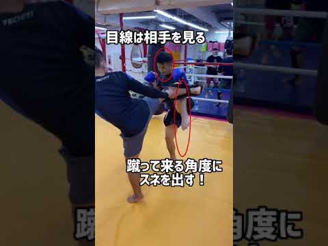 【ガード出来れば痛くない】ミドルキックのディフェンス練習方法　　#shorts