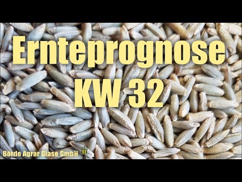 Ernteprognose KW 32
