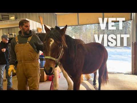 Something Seems Off...Is Burrnadette Still In Foal???