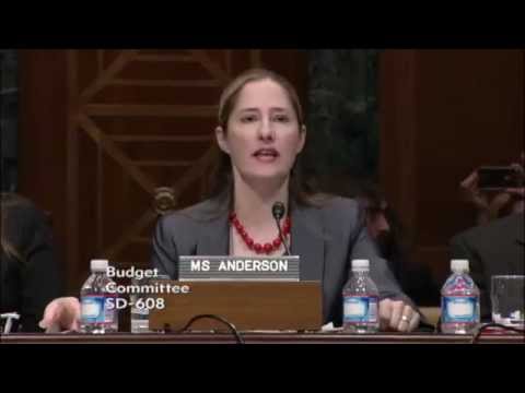 Sarah Anderson's Remarks at Senate Budget Hearing