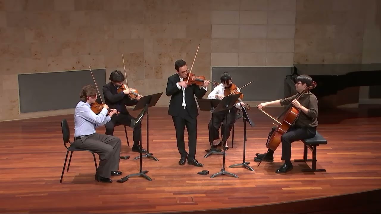 Promotional video thumbnail 4 for Violinist, Aleksi Z