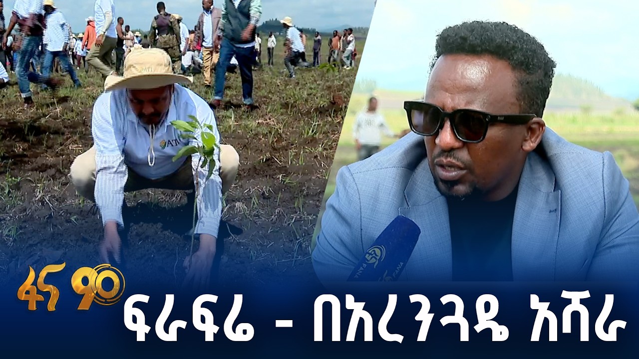 ከ500 ሄክታር በላይ የአቮካዶ ችግኝ በክላስተር