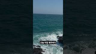 龍頭岩の朝の海。