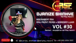 Download lagu DJ ANIZE SHINHYE AKU PAMIT PERGI X GORESAN LUKA BREAKBEAT VOL 30 NEW SONG 2026 mp3