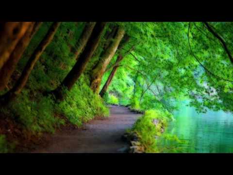 Marimba Sonora GC vol.22 - Mi Princesa Flory