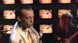 Talking Heads - Wild Wild Life