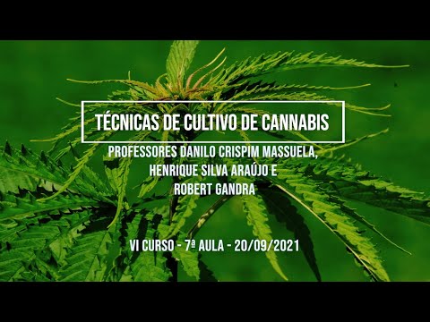 , title : '7ª aula - Técnicas de Cultivo de Cannabis - Profs. Danilo Massuela, Henrique Araújo e Robert Gandra'