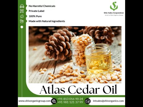 Atlas Cedar Oil