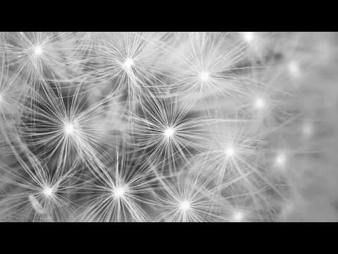 Wenn es nur einmal so ganz stille wäre - Rainer Maria Rilke