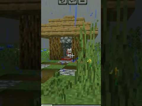 "Puppy palace in 5 mins?! Mind-blowing Minecraft hack!" #gaming