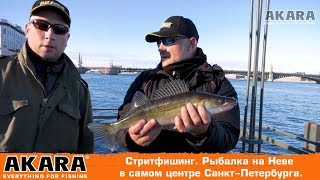 Где ловить хищника на неве