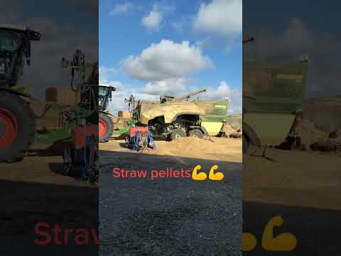 Class 5000  Krone Premos 5000 making those straw pellets #shorts