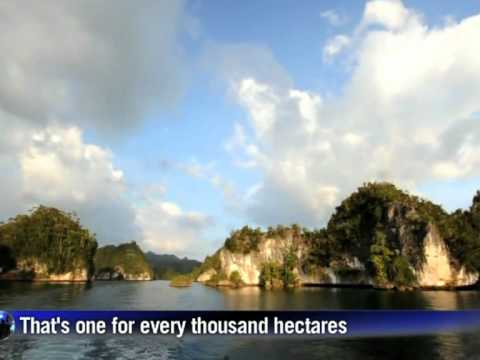 Raja Ampat archipelago: the last paradise on Earth