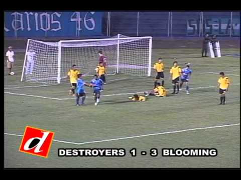 Destroyers 1   Blooming 3
