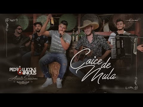 Pedro Luccas & Vinicius - Coice de Mula | Acustic Sessions