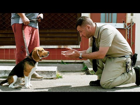 Куш собачий 2020 - трейлер