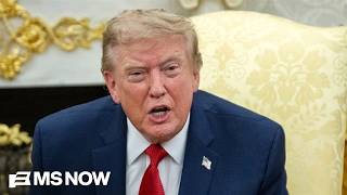 Tipping point Conservatives pan Trump's 'dumb' trade war as ALMOST ENTIRE NATION turns on 47