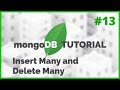 MongoDB In NodeJS Insert Many And Delete Many 2020 Episode 13