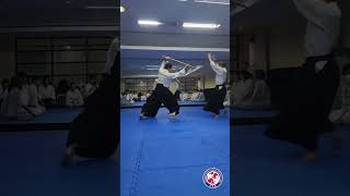 #bokken #aikido #aikidoaikikai #aikidolife #budo #martialarts #woodensword #youtubeshorts #shorts