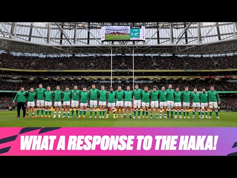 BEST HAKA EVER? 🔥 | IRELAND  V ALL BLACKS | AUTUMN NATIONS SERIES RUGBY