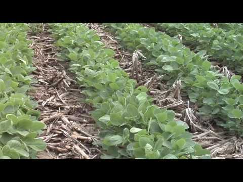 Farm Basics: Field Day 2009 (From Ag PhD #587 7/5/09)
