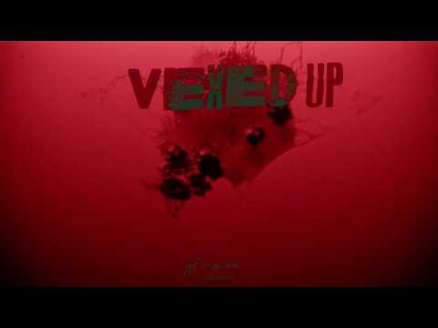 YL Vision - VEXED UP
