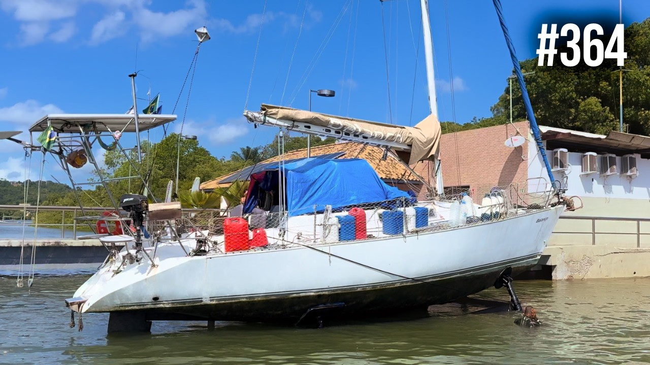 I Got on the Sailboat and Heard a Creak 🥶⛵️ | #SAL #364