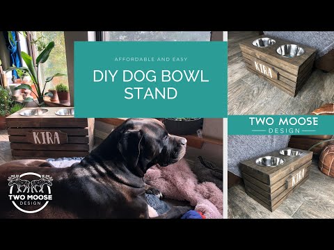 Building a Raised Feeder // Feeding Station // Bowl Stand //  For Your Dog // How to // DIY