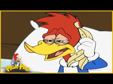 Capa de Pica-Pau em Português | Faxina de Primavera | Compilação De 1 Hora | Desenhos Animados
