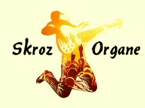 Skroz  Organe