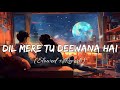 Dil Mere Tu Deewana Hai - Lofi || Slowed & Reverb || Love Feeling Lofi Song ||