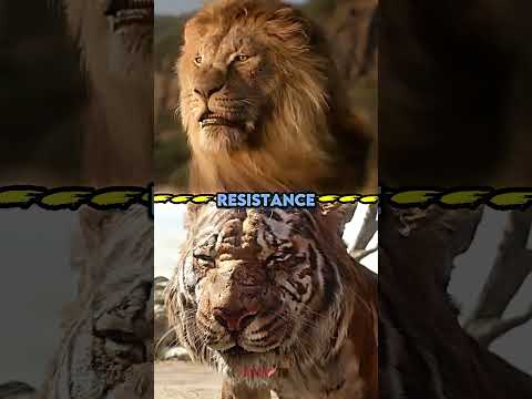 Mufasa vs Shere Khan