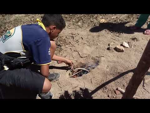 Fogueira video