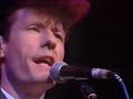 Lyle Lovett in Dublin 1989 (pt. 2) - You Can't Resist It / Simple Song