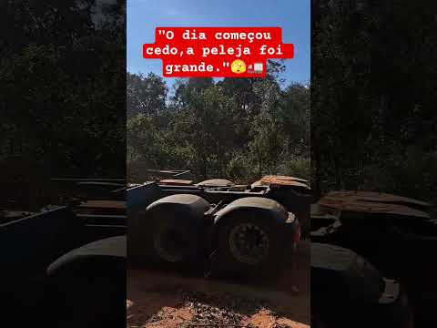 unnamed Road, Ribas do Rio pardo-MS. 🚛🫡