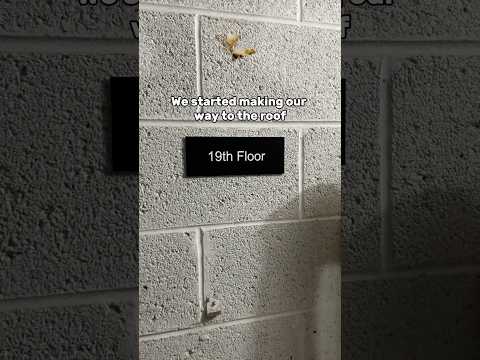 Abandoned 19 Story Apartment Complex w/ @BandoLonnie