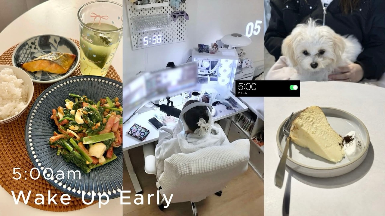 5時に起きたﾌﾘｰﾗﾝｽの活動的な1日☀️社会人の勉強📚最近ハマってる自炊レシピ🍳