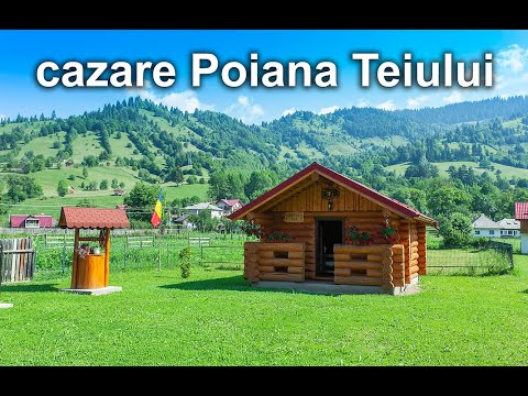 Casa Prundari si cabanele Podis, Teo si Luca (Poiana Teiului)