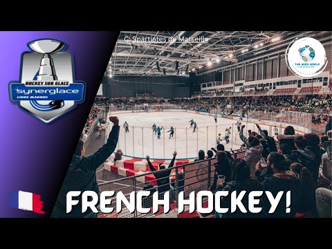 Ligue Magnus Hockey Arenas