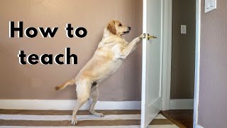 Close the door in 3 easy STEPS | Labrador & German Shorthaired Pointer